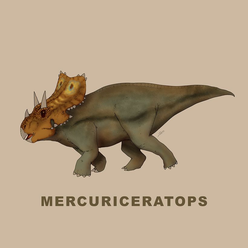 Ceratopsidae 9