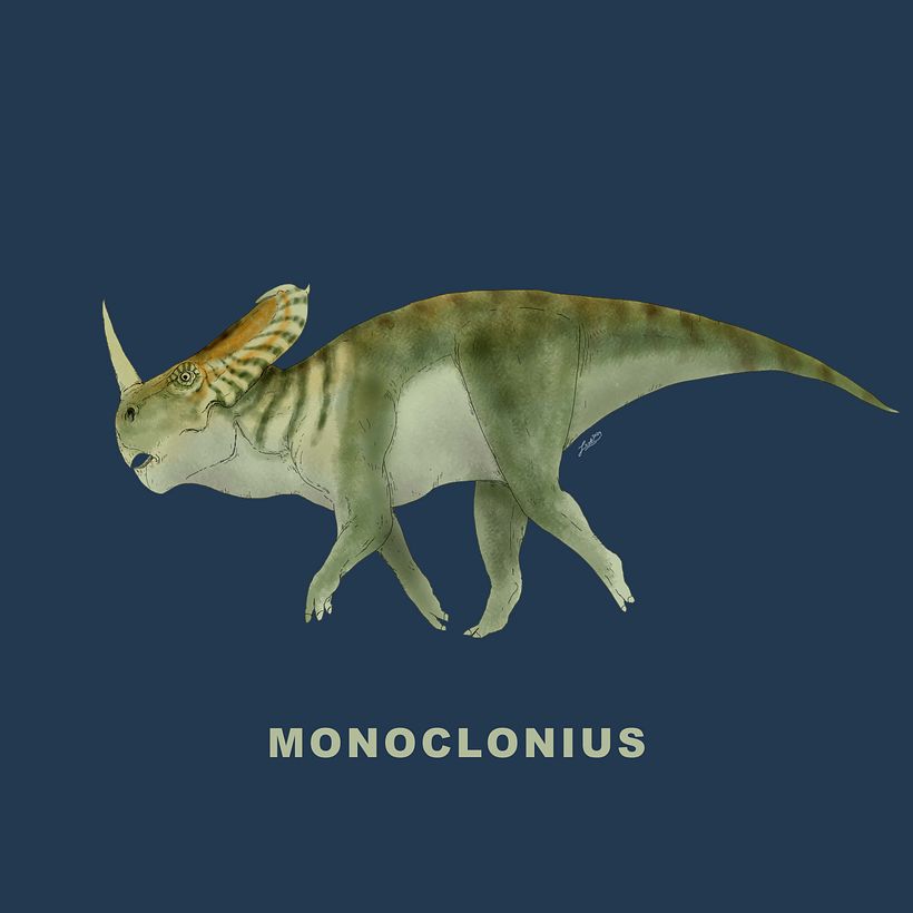 Ceratopsidae 10