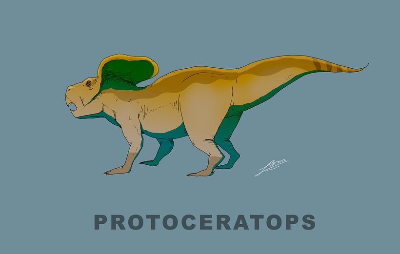 Ceratopsidae 11