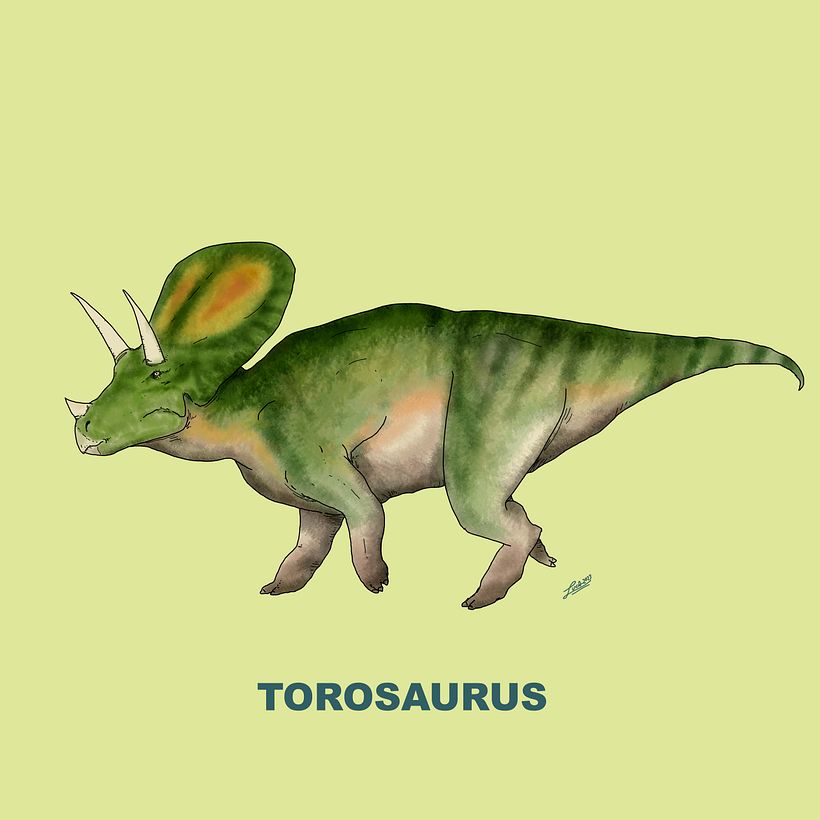 Ceratopsidae 13