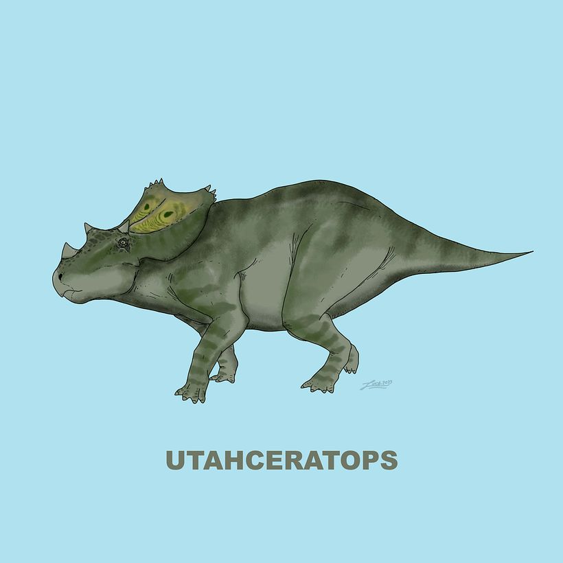 Ceratopsidae 14