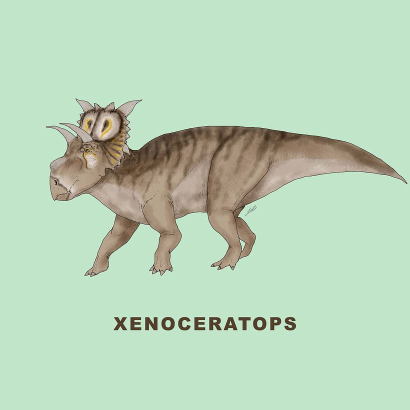Ceratopsidae 15