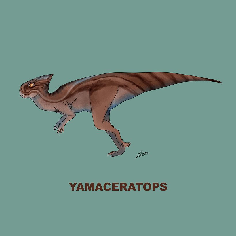 Ceratopsidae 17