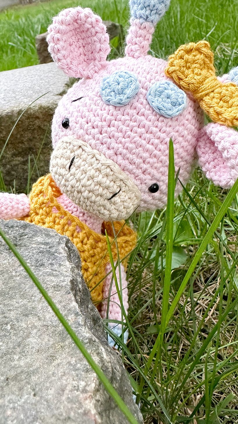 Mój projekt z kursu: Tworzenie zwierząt na szydełku techniką amigurumi 3