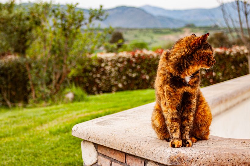 I'm shy, don't take photos