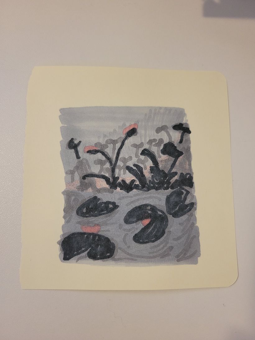 Color Study
