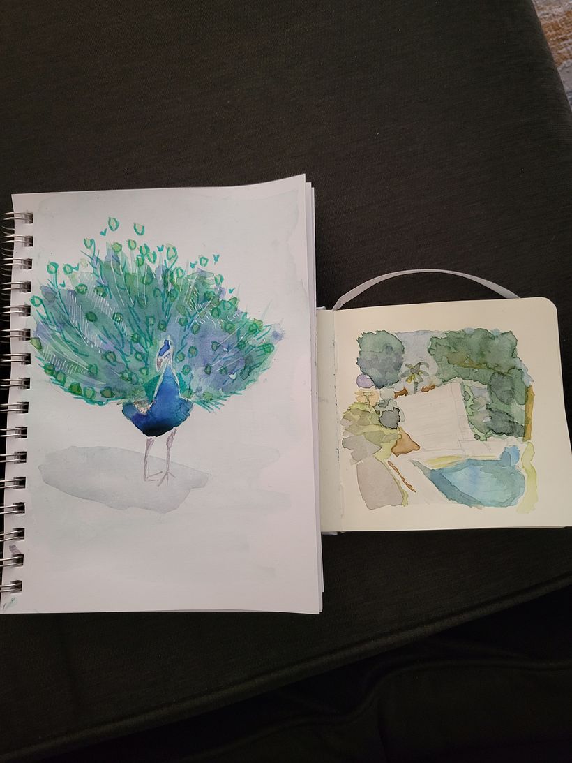 Watercolor Study
