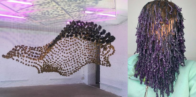 Descubre a 6 artistas contemporáneos argentinos 5