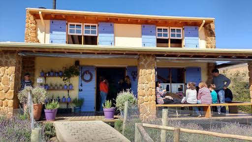 Meu projeto do curso: Técnicas de guache para ilustração 5