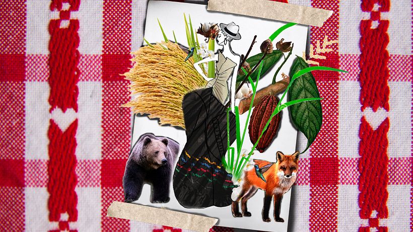 PORTAFOLIO  7