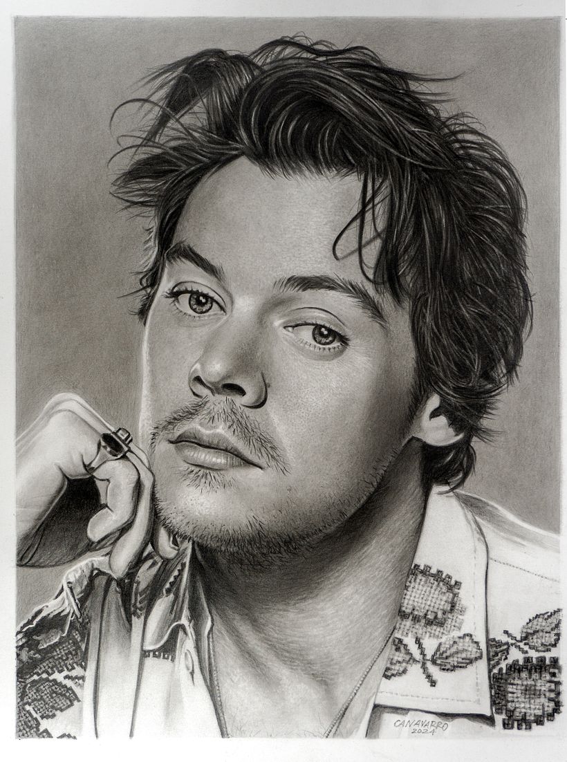 Harry Styles en grafito 2