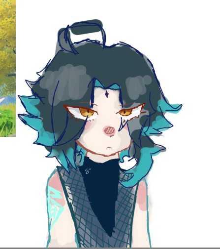 It was rushed srry
