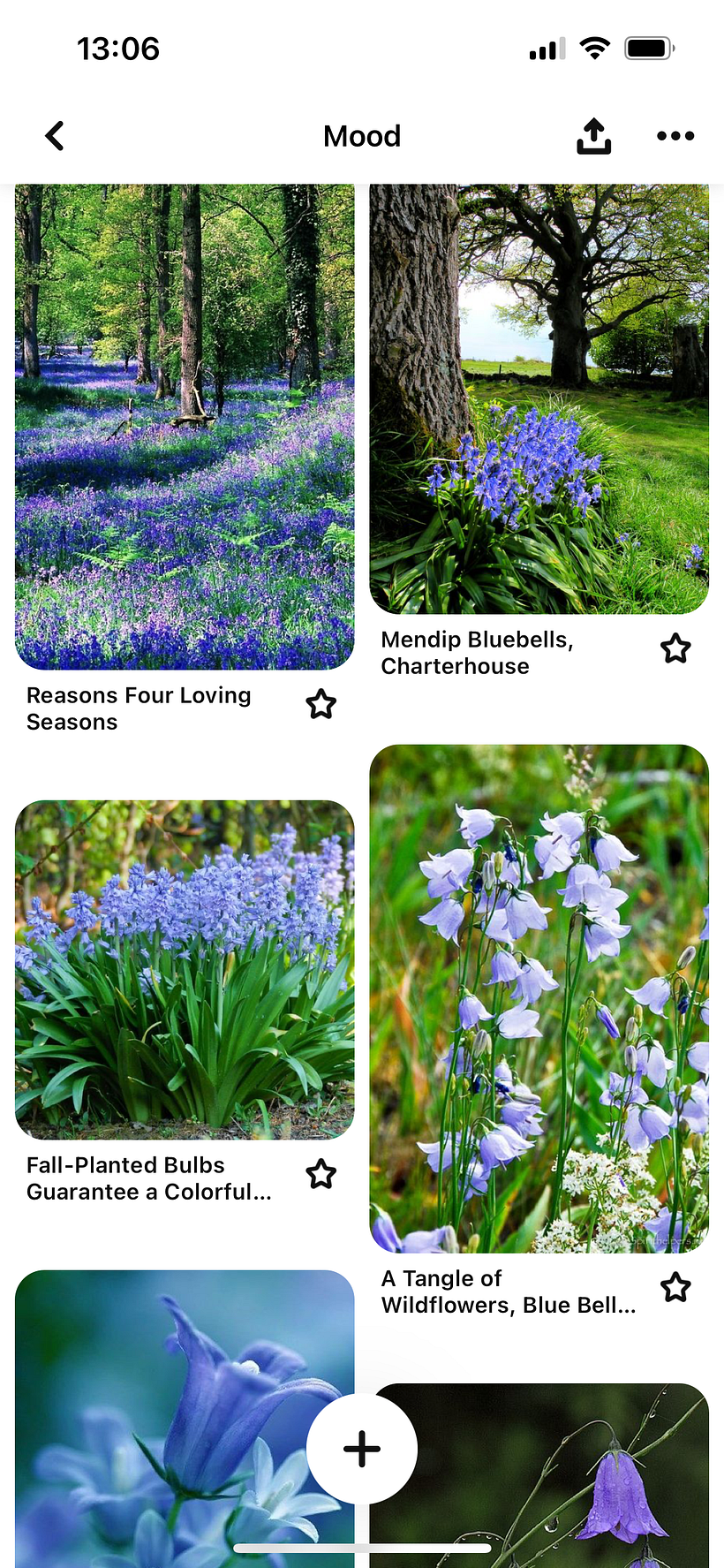 The mood board. I’m trying to capture something typical for spring time. Something tranquil and full of life