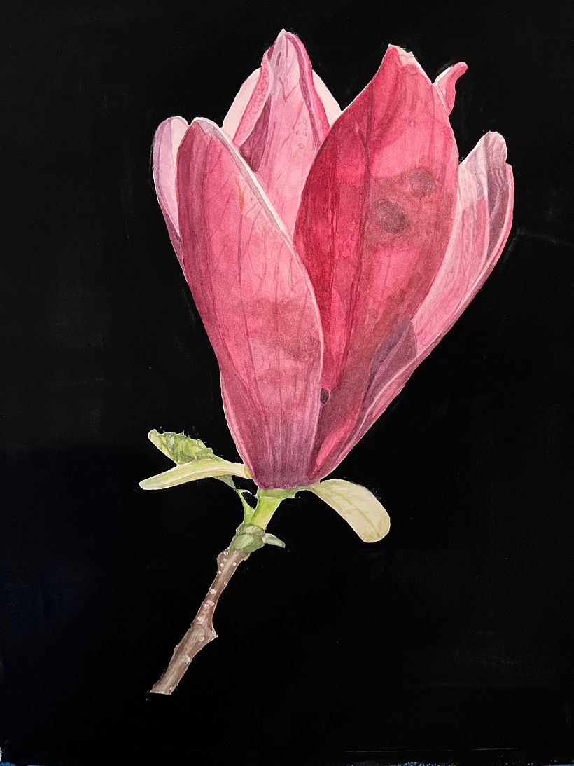 My project for course: Botanical Watercolor: Illustrating Art and Science 2