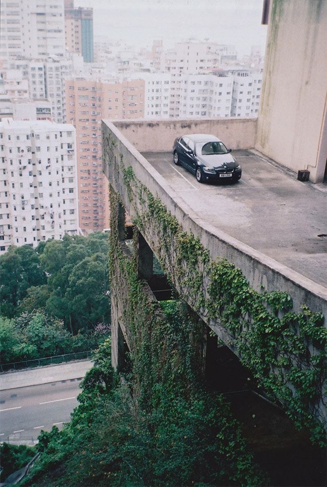 Contemplando la vida 1