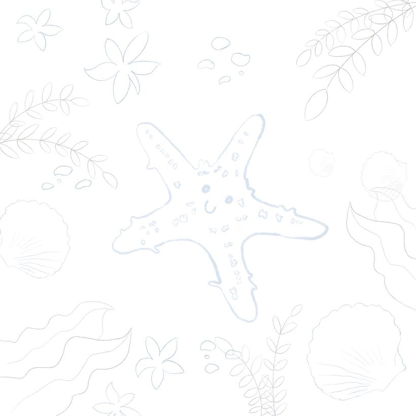 Sketch