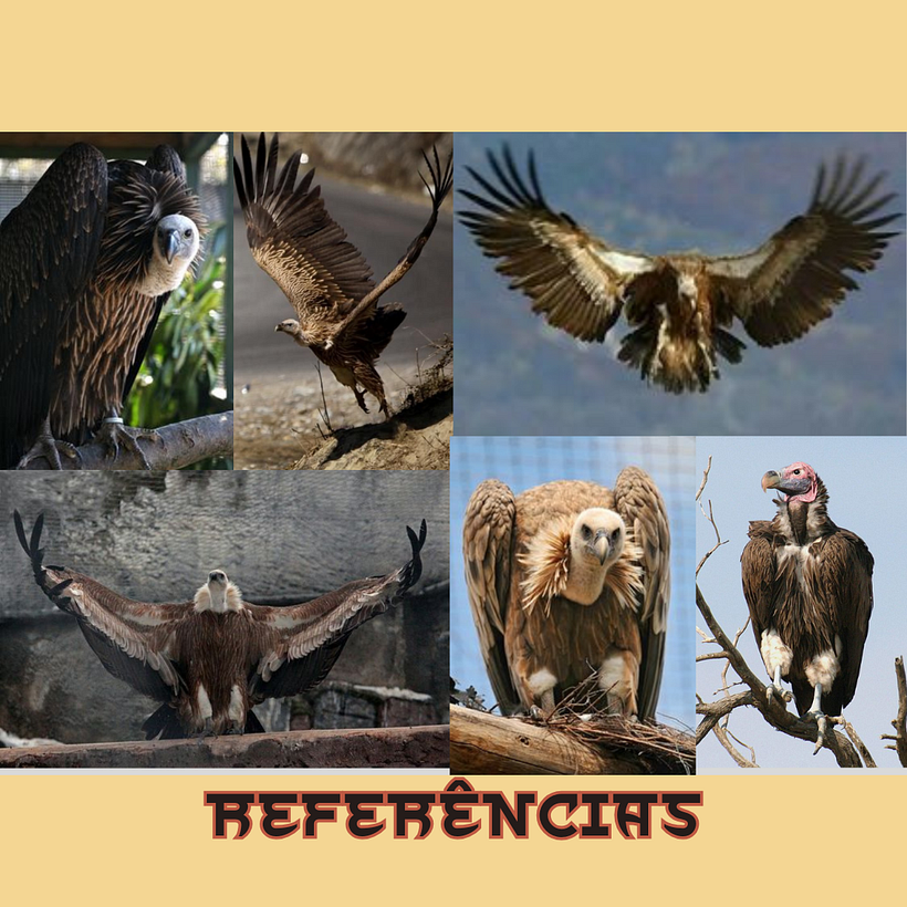 Meu projeto do curso: Design e ilustração de personagens rivais 9