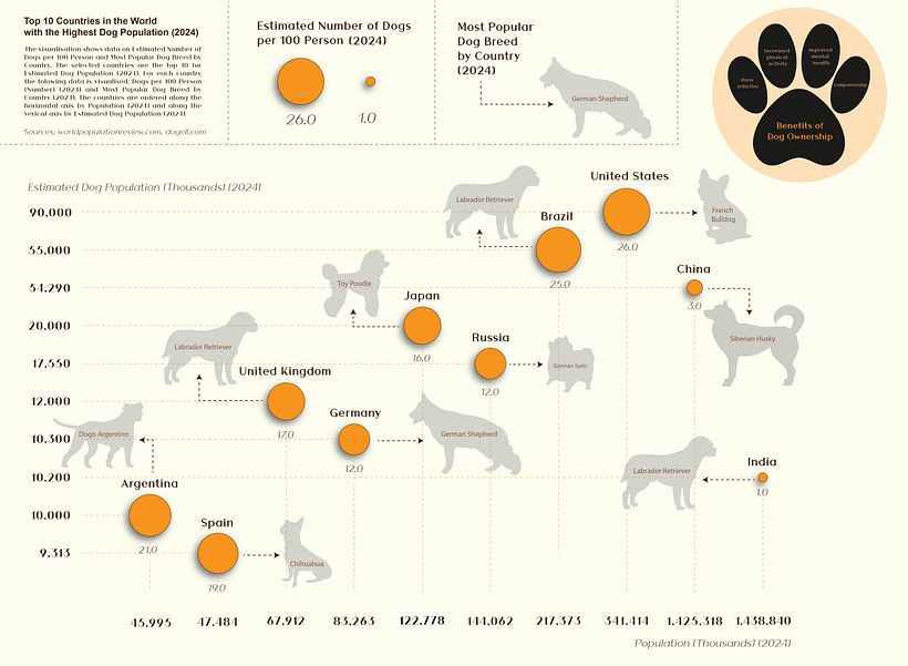 My project for course: Data Visualization and Information Design: Create a Visual Model 1