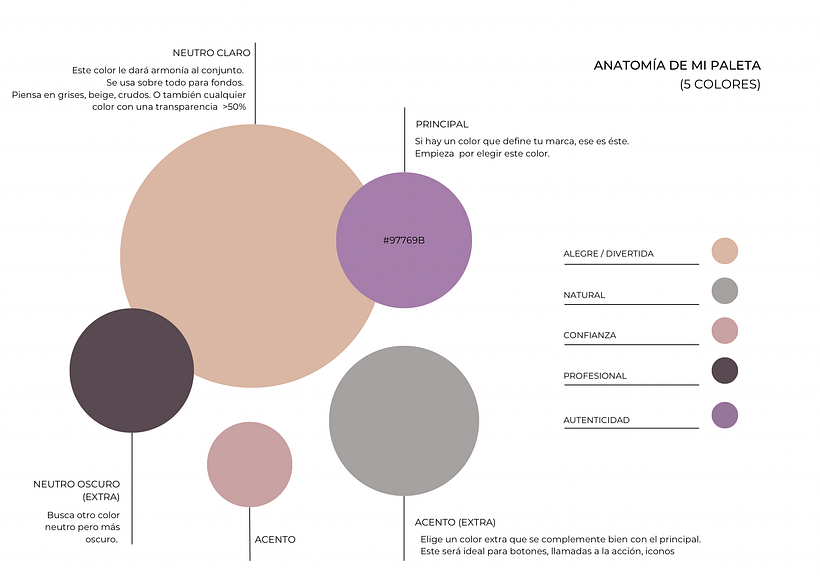 Anatomía de colores 