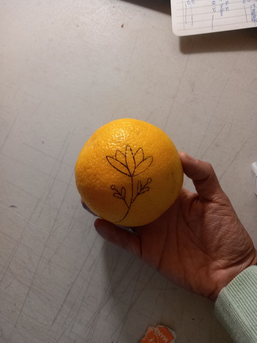 Traspase el diseño a la naranja, tuve que remarcar las líneas.