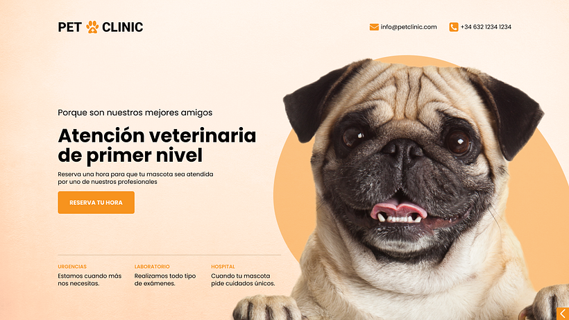 Mi proyecto del curso: Diseño de interfaces para sitios web y aplicaciones 6