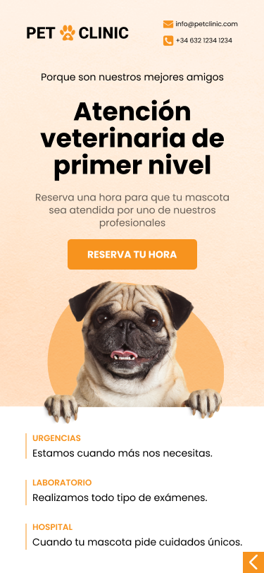 Mi proyecto del curso: Diseño de interfaces para sitios web y aplicaciones 12