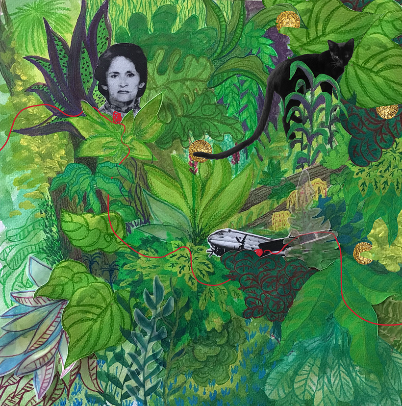 La historia de mi abuela esta escondida entre las plantas de la selva unidas por un hilo rojo. 