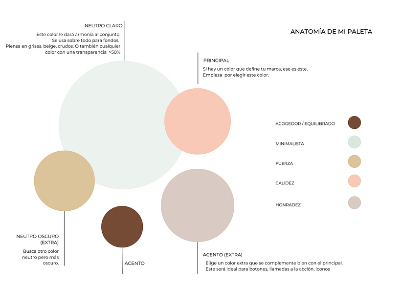 anatomía del color
