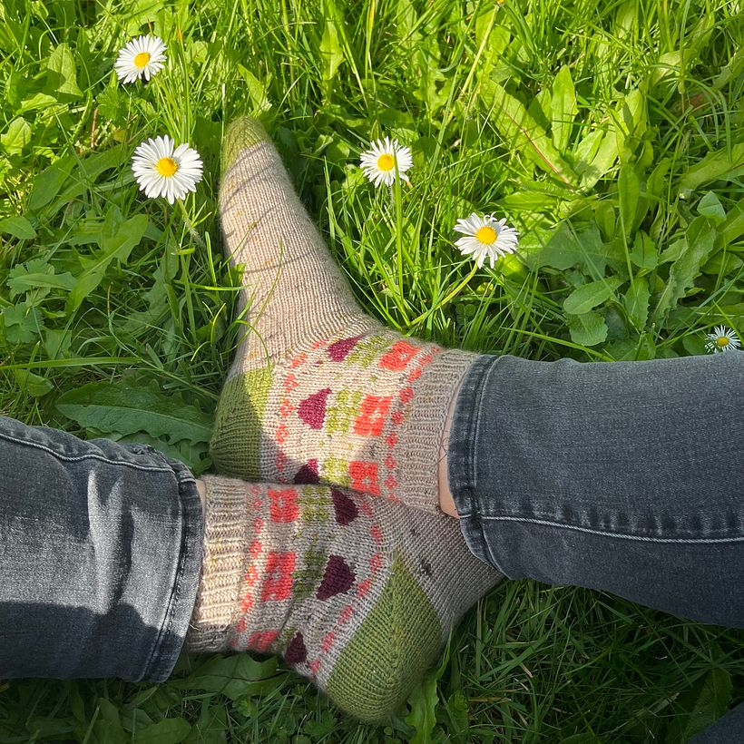 Mijn project voor de cursus: Introductie tot het breien van kleurrijke sokken 2