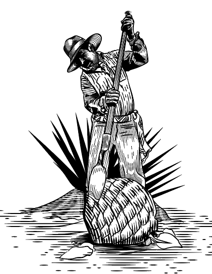 Digitalización Jimador