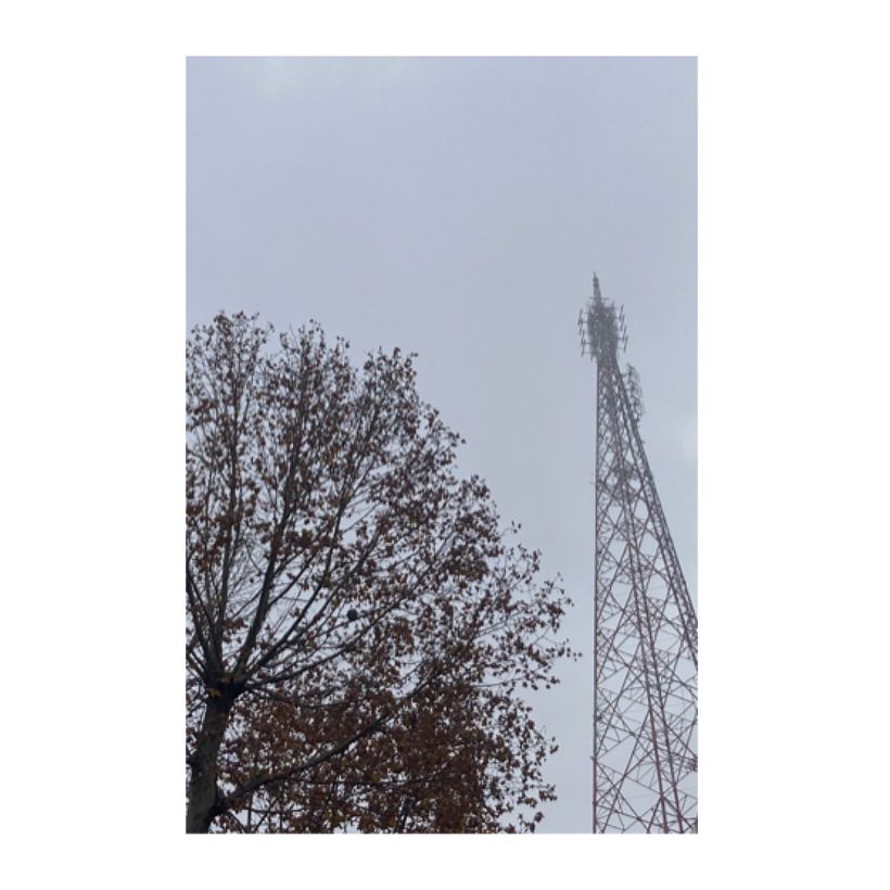 Tarde aparece la niebla