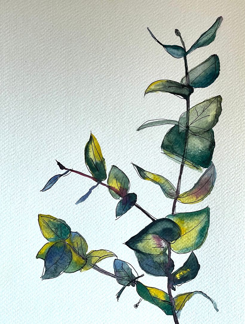 Leaves Watercolor & pen