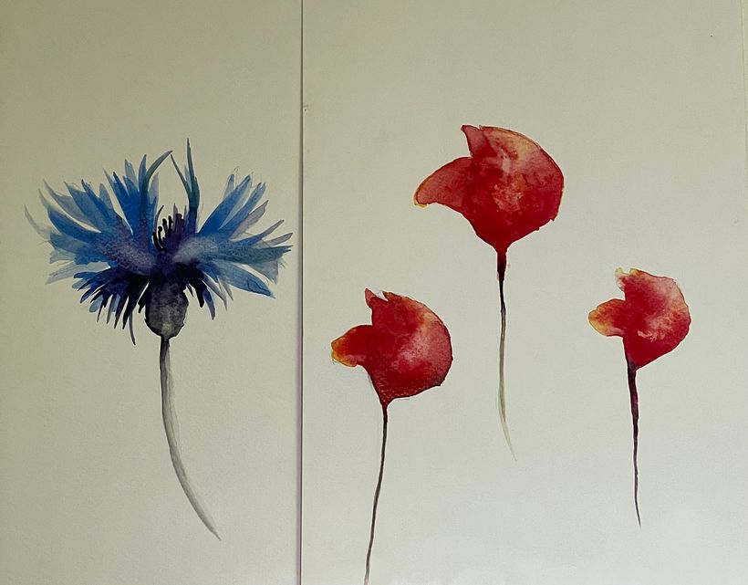 Cornflour & Poppies watercolour