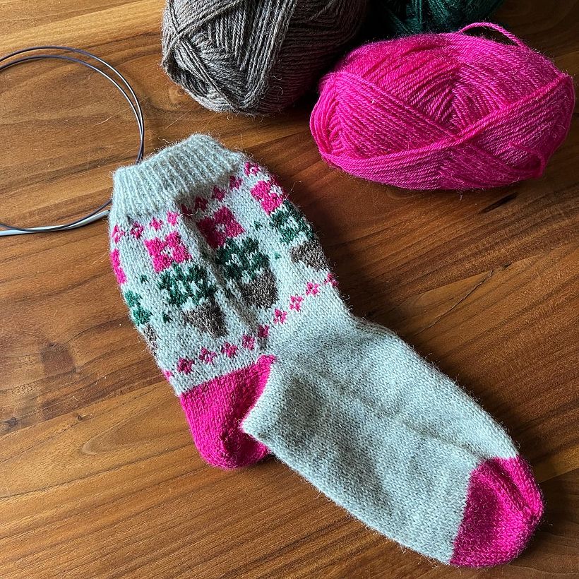 My project for course: Introduction to Colorwork Sock Knitting 2