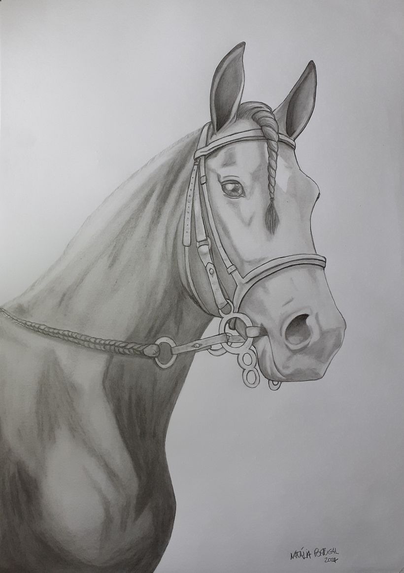 Meu projeto final, estou muito feliz com a minha evolução. Obrigada Puño, seu curso foi muito importante para mim!