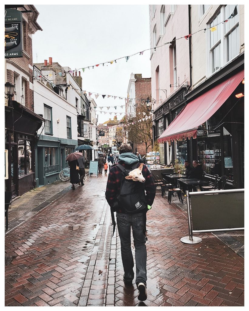 Final project: Travel Photography with Mobile Phone for Beginners 4