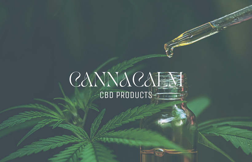 Mi proyecto del curso: Canva de 0 a 100: crea diseños de forma profesional 1