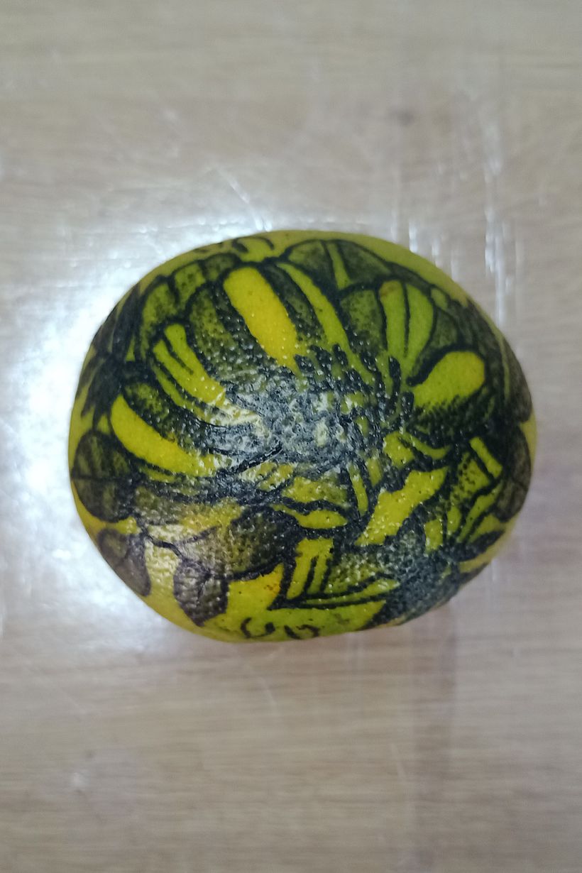 Meu projeto do curso: Tatuagem para principiantes 3