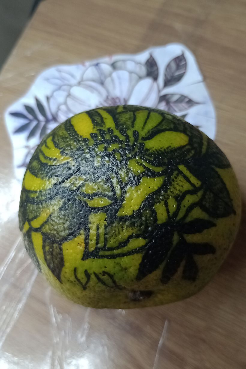 Meu projeto do curso: Tatuagem para principiantes 4