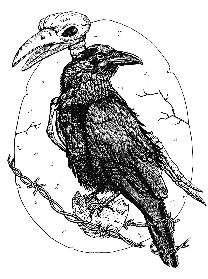 My project for course: Realistic Illustration of Birds with Imaginative Elements 8