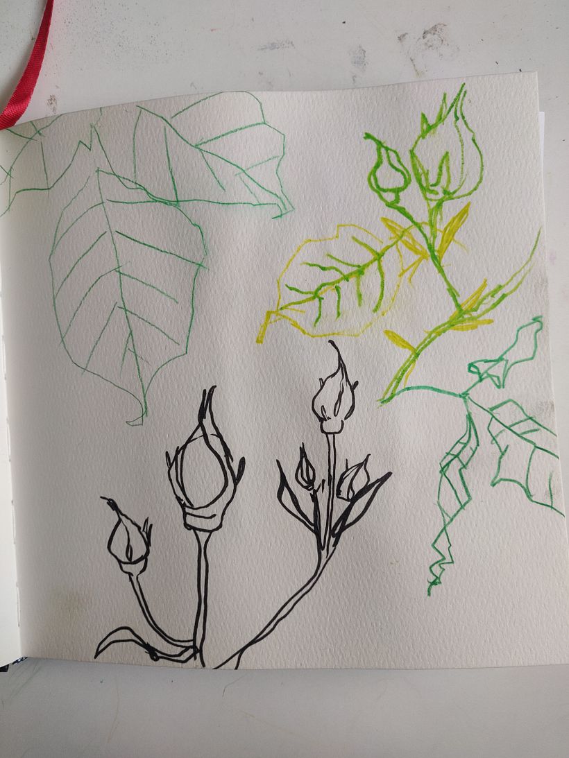 My neighbours have a rose bush right by their front door so I trie to draw some buds an leaves... 