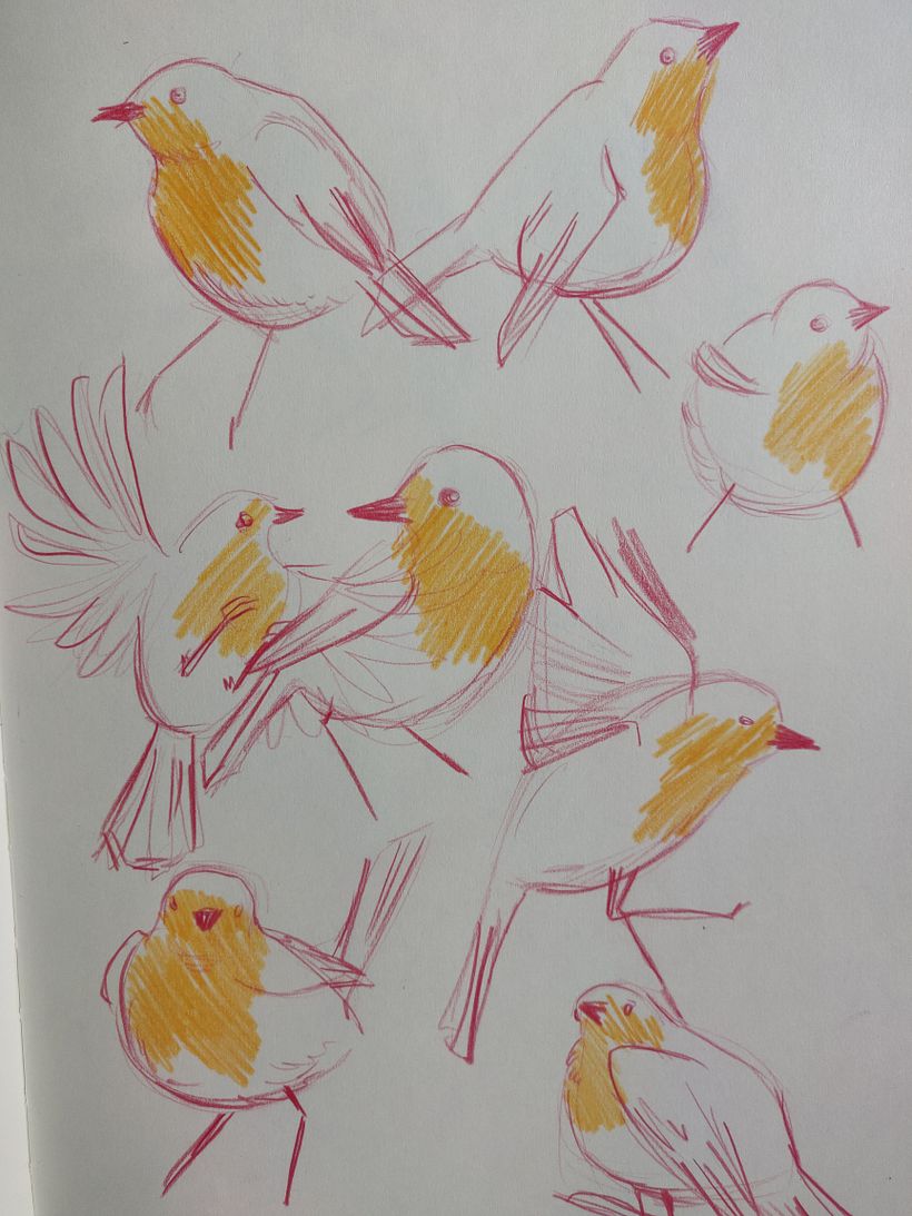 I looked up what birds eat apples-I know it's not the most creative way of thinking but since I had a creative block before..