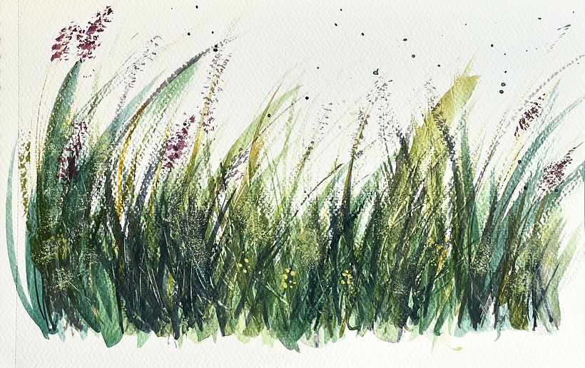 Wild grass