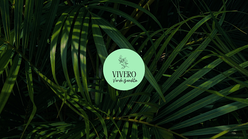Vivero Presentación - Branding et identité