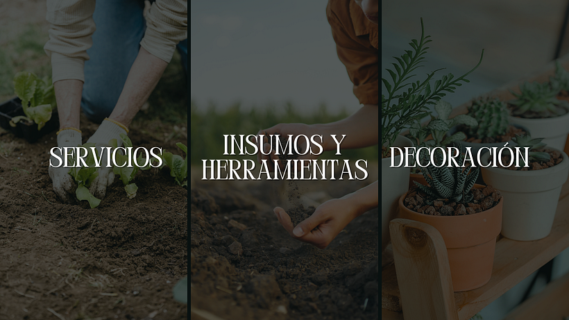 Vivero Presentación - Branding et identité
