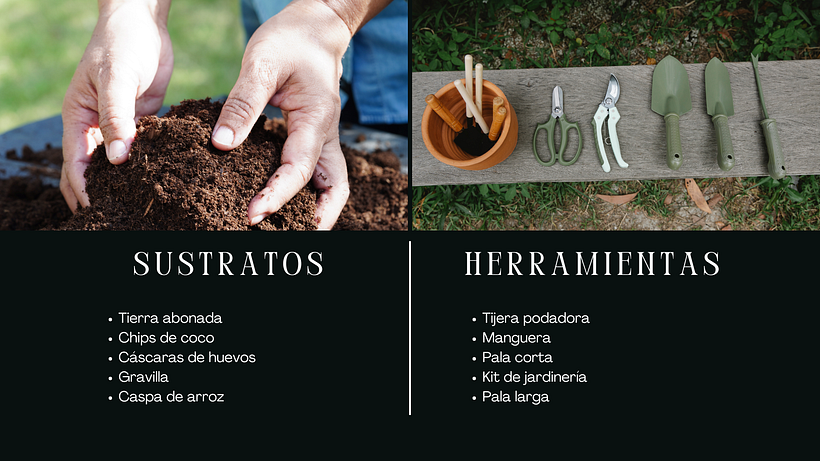 Vivero Presentación - Branding et identité