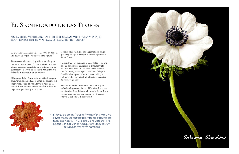 My project for course: Creative Typesetting for Editorial Projects 2