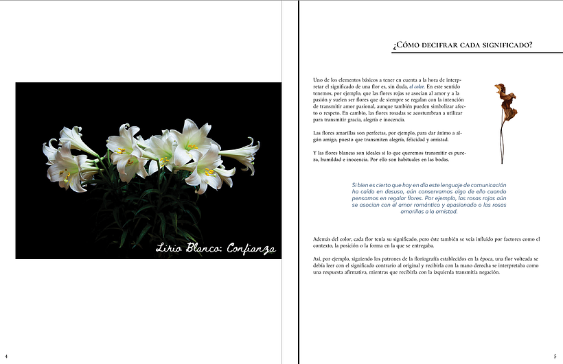 My project for course: Creative Typesetting for Editorial Projects 4