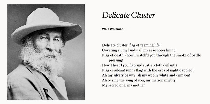 © https://www.britannica.com/biography/Walt-Whitman