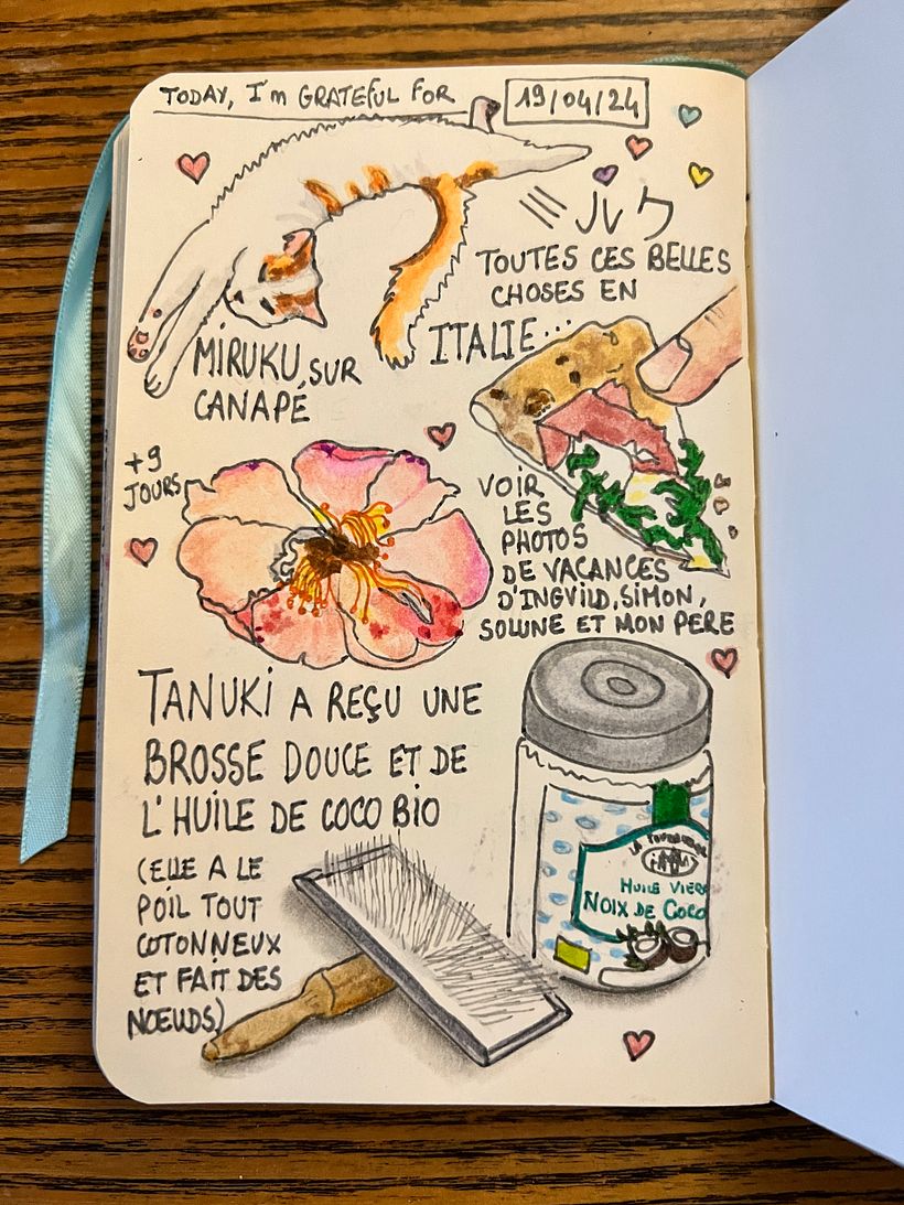 Tanuki receives a new brush and coconut oil for her bushy hair. I see many photos from my family's trip to Italy.